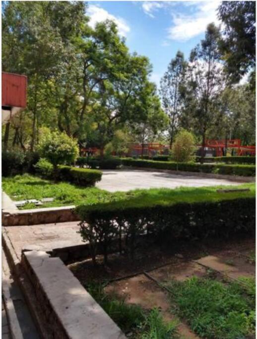 דירות מקסיקו סיטי Depto Equipado, A Min Del Centro Historico, Cdmx. מראה חיצוני תמונה