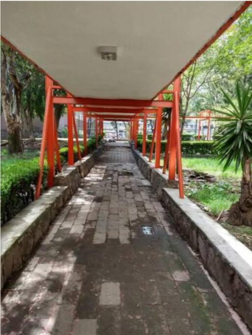 דירות מקסיקו סיטי Depto Equipado, A Min Del Centro Historico, Cdmx. מראה חיצוני תמונה